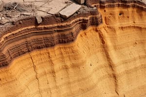 Erosion: Definitions and Impacts