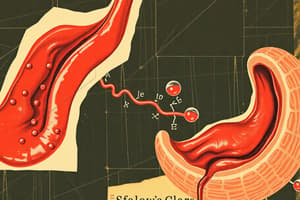 Saliva and Digestion Quiz