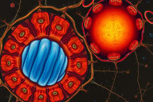 Cell Organelles Overview