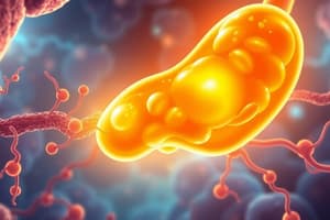 Steroid Metabolism and Cholesterol Synthesis