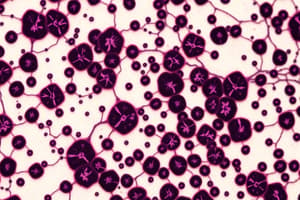 Histology: Stains, Cells and Nuclear Components