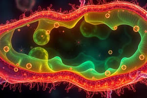 Cell Structure and Function Quiz