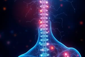 L67. Physiology - Spinal Reflexes