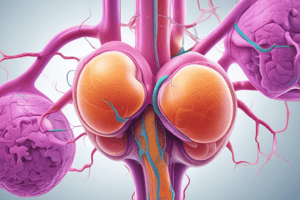 Renal System: Urinary Tract Infections (UTIs)