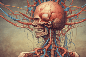 Urinary System: Structure and Functions