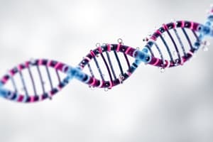 Polymerase Chain Reaction (PCR)