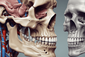 Anatomy of Pterygopalatine Fossa Quiz