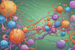 Prokaryotic mRNA Degradation