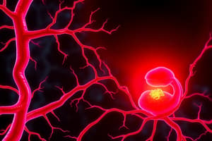 Angiogenesis in Tumors and Development