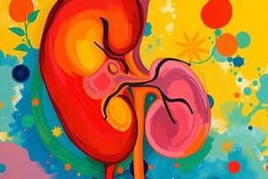 Kidney Function and Fluid Balance