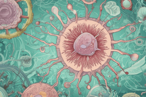 Bacteriology exam prep Pasteurella, Manheimia, Actinobacillus, Pseudomonas