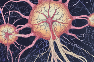 Neurophysiology: Neuron Division and Brain Metabolism