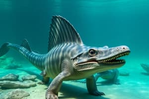 Ichthyosaur Discovery Quiz