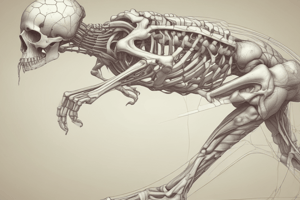 Neurological Examination of Lower Limb