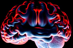 MRI and fMRI: Brain Imaging Techniques