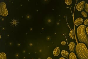 Biomembranes: Fluid Mosaic Model & Phospholipids