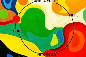 Nitrogen Metabolism and the Urea Cycle