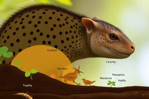 Ecological Niche and Food Chains Quiz