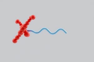 Hemoglobin Structure and Types