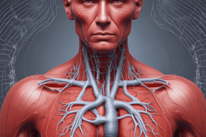 Cardiovascular System and Respiratory System Quizzes