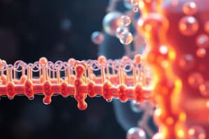 Cell Membrane Structure and Transport