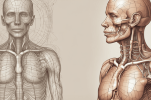 Respiratory System Unit 3