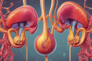 Physiology of Urine Formation: Tubular Sunction Quiz