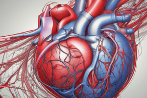 2.Heart Structure and Function