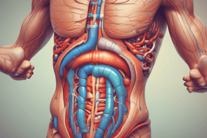 Medidas para el dolor abdominal