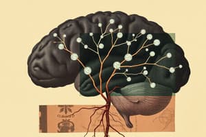 Neuroscience Quiz on Neurons and Functionality