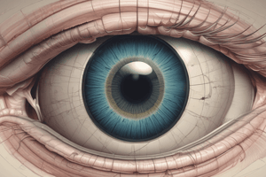 Anatomy of the Orbit and Eyelid