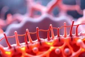 Introduction to Resting Membrane Potential