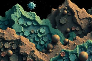 Soil Chemistry: Soil Colloids and Clay Structures