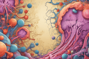 Neoplasias y Enfermedades Sistémicas en Riñón