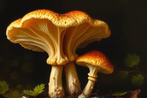 Chapter 5.3 Fungi Characteristics and Morphology HARD