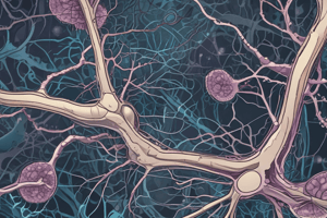 Nervous Tissue Part 2: Glial Cells