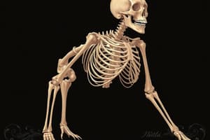 HP Chapter 8- Skeletal System: Axial and Appendicular Parts