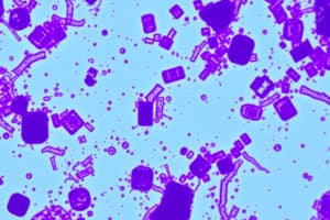 Gram Stain and Antimicrobial Resistance