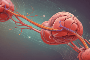 Functions of the Kidney