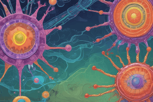 Complement System Functions