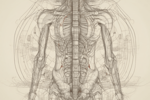 Acupuncture Points: ST4 Location and Needling