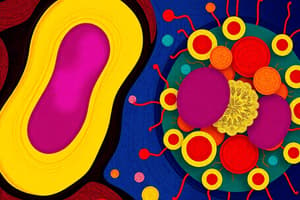 Prokaryote vs. Eukaryote Cells Quiz