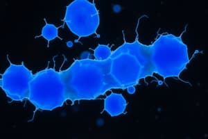 Microbiology Staining Techniques Quiz