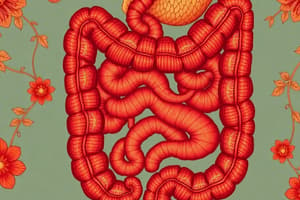 Colorectal Polyps and Polyposis Syndromes