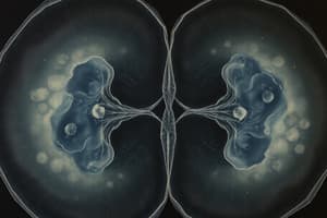 Cell Division: Mitosis and Meiosis