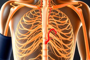 Guyton and Hall Physiology Chapter 18 - Nervous Regulation of the Circulation