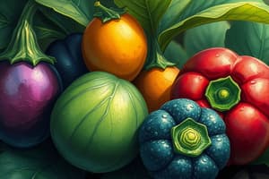 Classification of Fruits and Vegetables