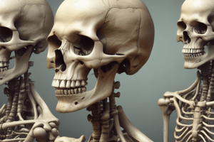 Effects of Aging on Bone Structure