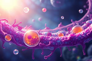 Cell Biology Quiz: Membranes and Organelles