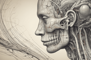 Cranial Nerves in Neuroscience